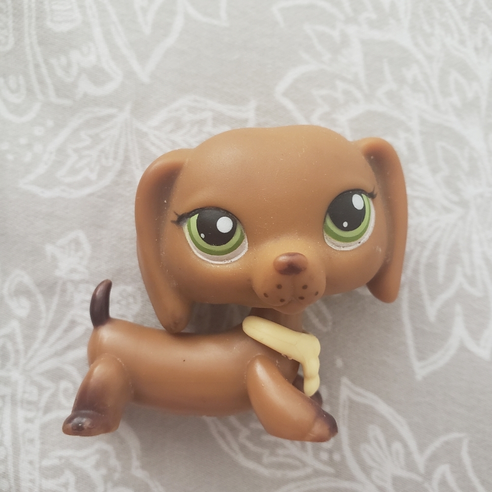 Brown Daschund #307
